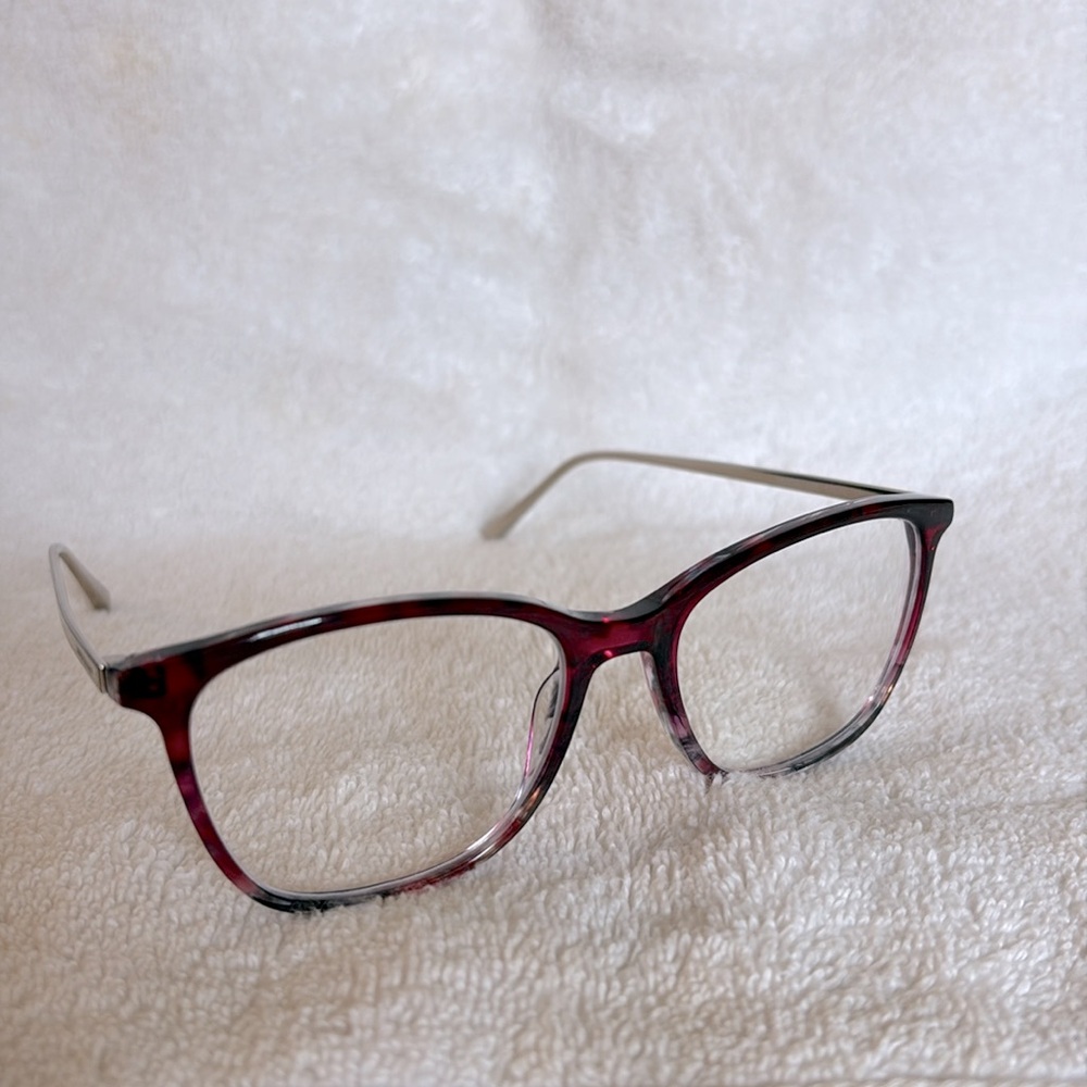 Longchamp frames